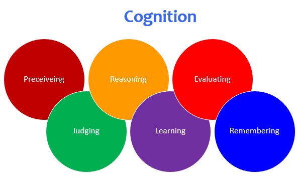 How To Train Your Cognitive Skills