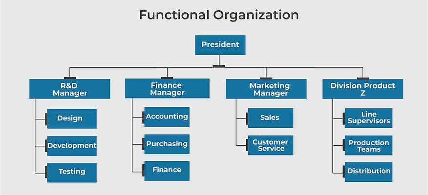 What is functional management organizational structure?