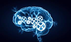 National Intelligence and country development