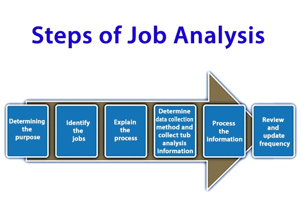 What Are The Six Steps Of Job Analysis And Examples