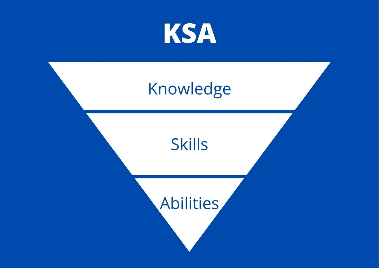 essay knowledge and skills