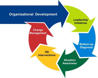 factors of organizational development
