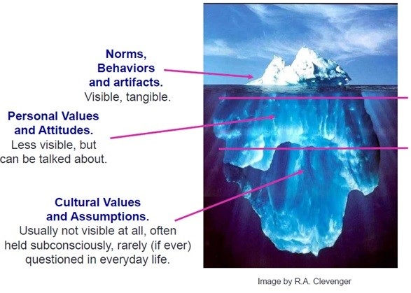 Organisational Culture Profiles 