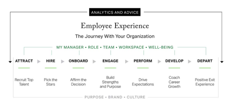 What is an employee engagement survey?