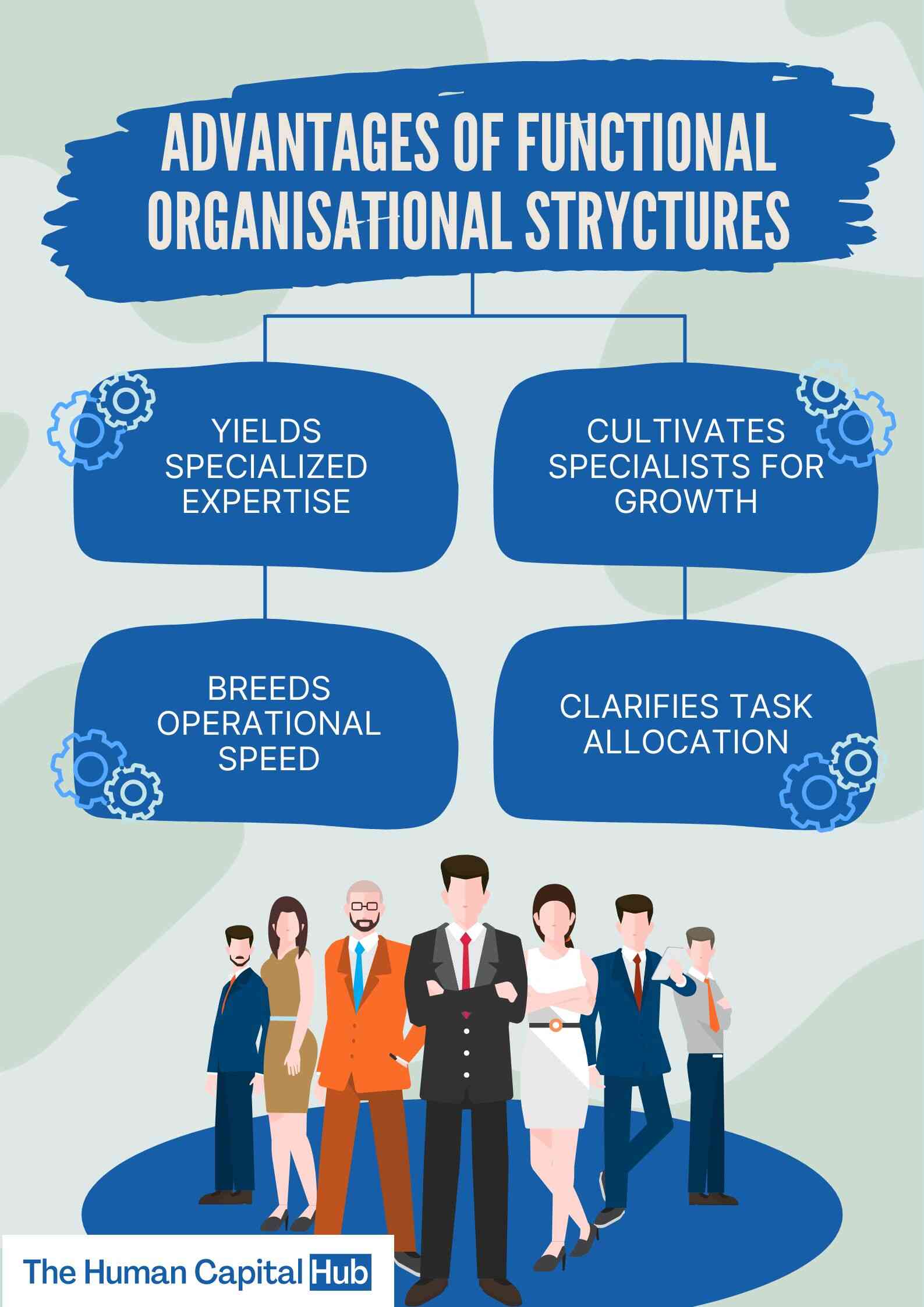 Functional Organisation: Meaning, Features, Suitability